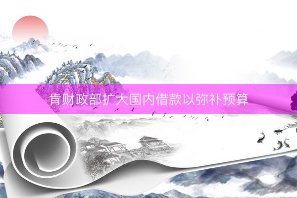 肯财政部扩大国内借款以弥补预算