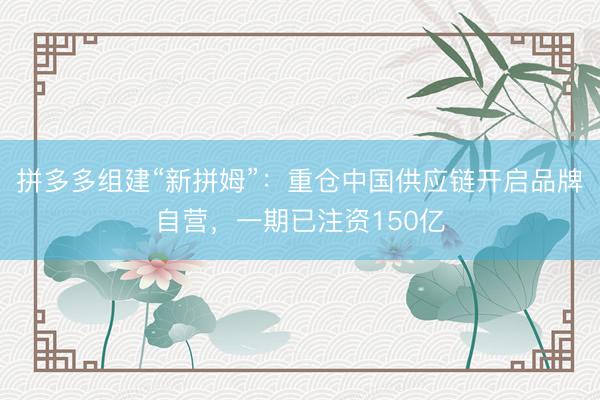 拼多多组建“新拼姆”：重仓中国供应链开启品牌自营，一期已注资150亿