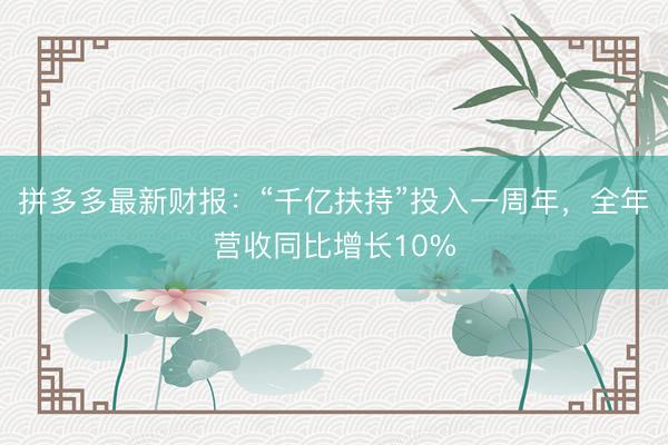 拼多多最新财报：“千亿扶持”投入一周年，全年营收同比增长10%