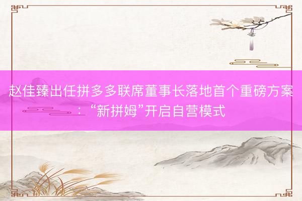 赵佳臻出任拼多多联席董事长落地首个重磅方案：“新拼姆”开启自营模式