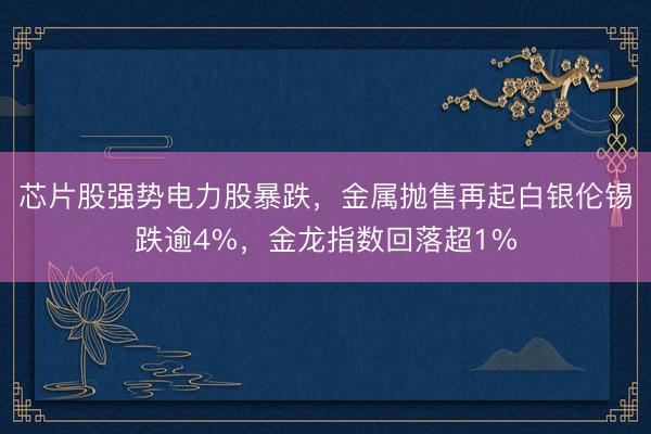 芯片股强势电力股暴跌，金属抛售再起白银伦锡跌逾4%，金龙指数回落超1%