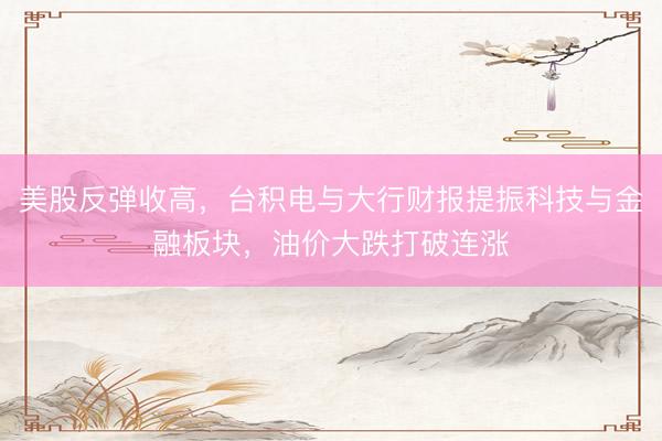 美股反弹收高，台积电与大行财报提振科技与金融板块，油价大跌打破连涨