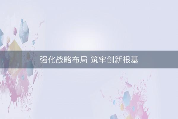 强化战略布局 筑牢创新根基