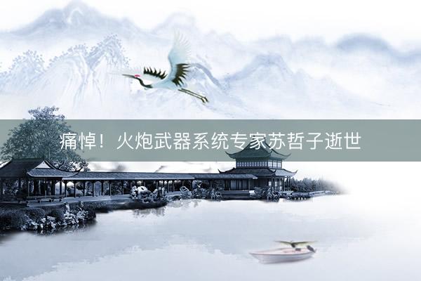 痛悼！火炮武器系统专家苏哲子逝世