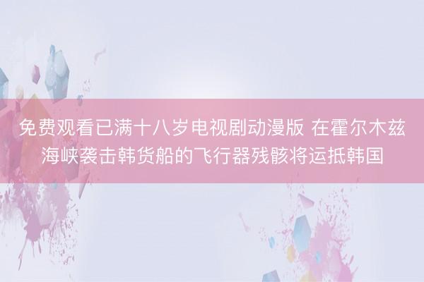 免费观看已满十八岁电视剧动漫版 在霍尔木兹海峡袭击韩货船的飞行器残骸将运抵韩国
