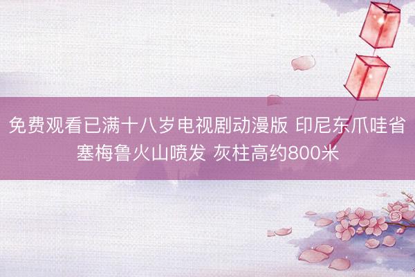 免费观看已满十八岁电视剧动漫版 印尼东爪哇省塞梅鲁火山喷发 灰柱高约800米
