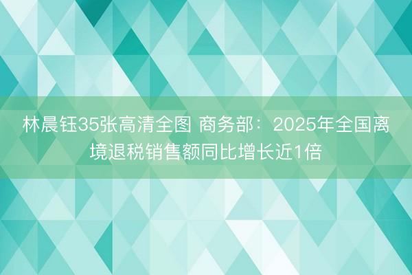 林晨钰35张高清全图 商务部：2025年全国离境退税销售额同比增长近1倍