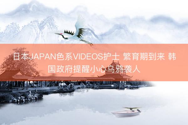日本JAPAN色系VIDEOS护士 繁育期到来 韩国政府提醒小心乌鸦袭人
