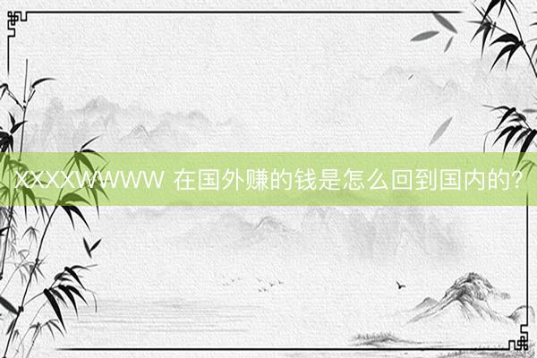 XXXXWWWW 在国外赚的钱是怎么回到国内的?
