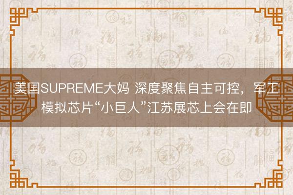 美国SUPREME大妈 深度聚焦自主可控，军工模拟芯片“小巨人”江苏展芯上会在即