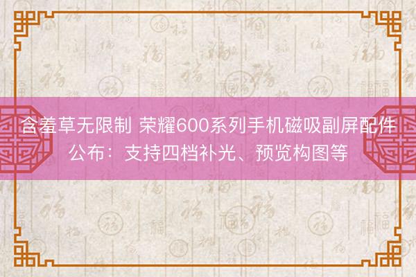 含羞草无限制 荣耀600系列手机磁吸副屏配件公布：支持四档补光、预览构图等