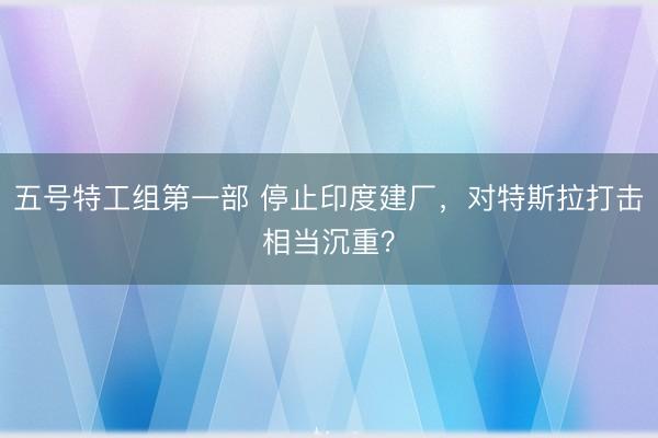 五号特工组第一部 停止印度建厂，对特斯拉打击相当沉重？
