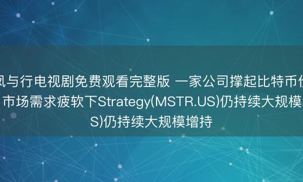 凤与行电视剧免费观看完整版 一家公司撑起比特币价格！市场需求疲软下Strategy(MSTR.US)仍持续大规模增持
