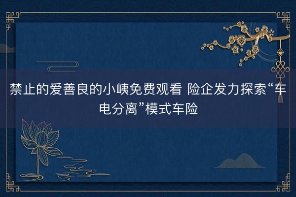 禁止的爱善良的小峓免费观看 险企发力探索“车电分离”模式车险