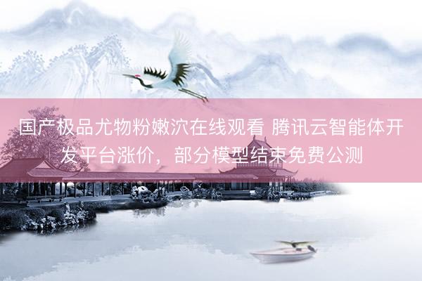 国产极品尤物粉嫩泬在线观看 腾讯云智能体开发平台涨价，部分模型结束免费公测