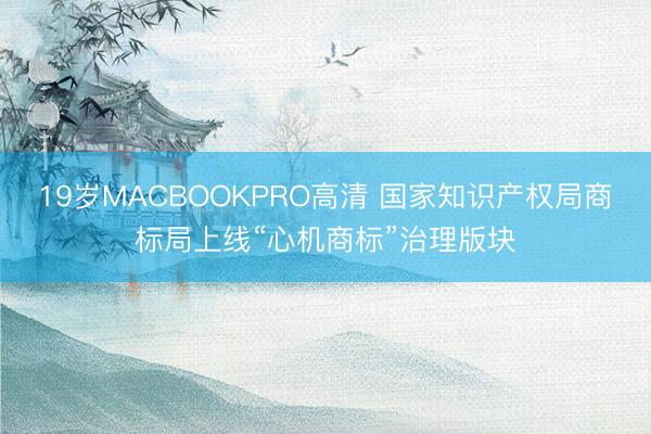 19岁MACBOOKPRO高清 国家知识产权局商标局上线“心机商标”治理版块