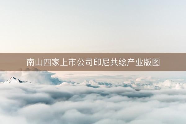 南山四家上市公司印尼共绘产业版图