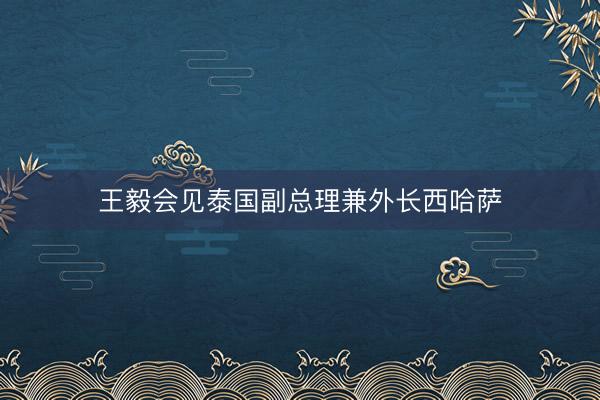 王毅会见泰国副总理兼外长西哈萨