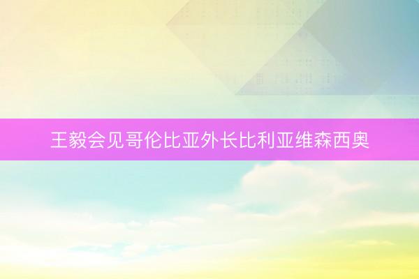 王毅会见哥伦比亚外长比利亚维森西奥