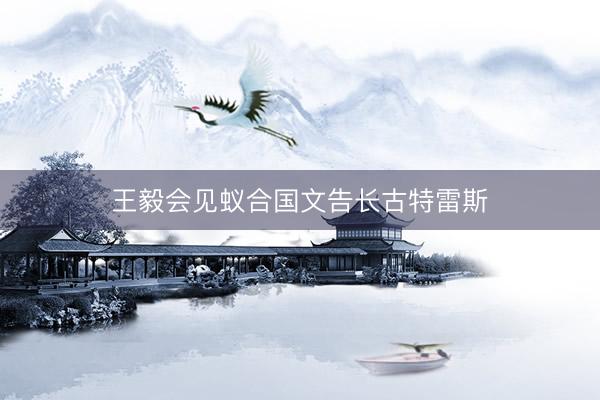 王毅会见蚁合国文告长古特雷斯