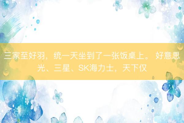 三家至好羽，统一天坐到了一张饭桌上。 好意思光、三星、SK海力士，天下仅