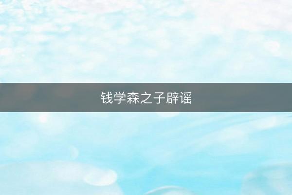 钱学森之子辟谣