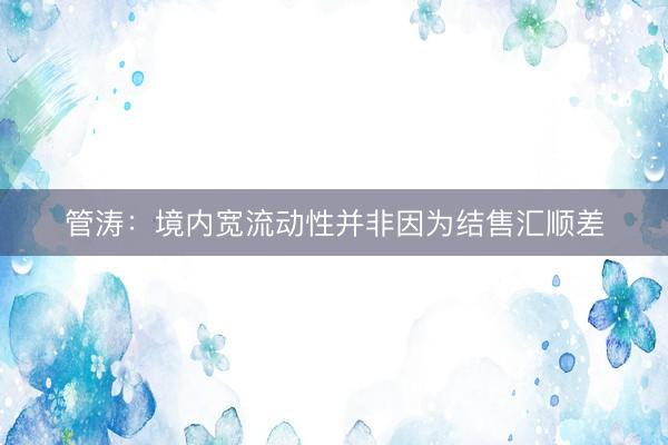 管涛:境内宽流动性并非因为结售汇顺差