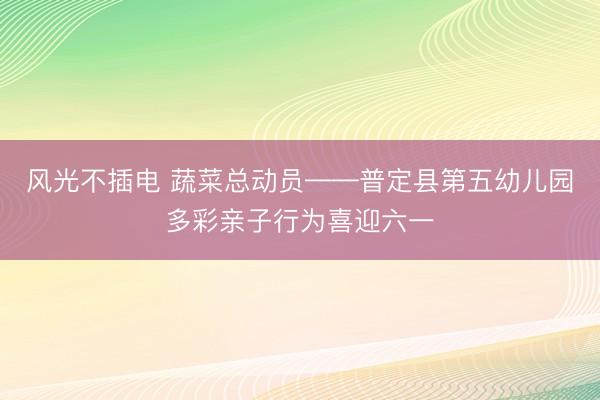 风光不插电 蔬菜总动员——普定县第五幼儿园多彩亲子行为喜迎六一
