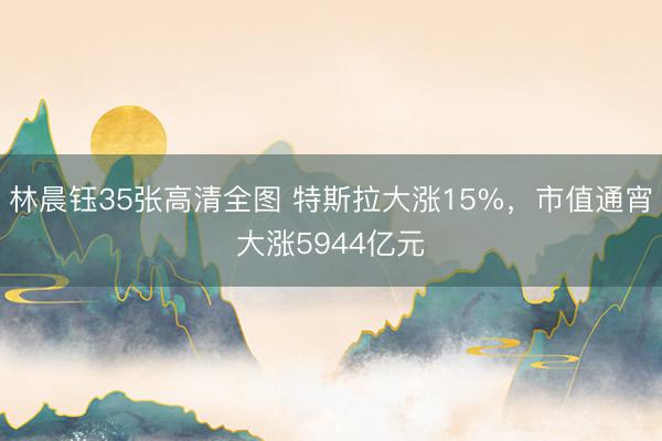 林晨钰35张高清全图 特斯拉大涨15%，市值通宵大涨5944亿元