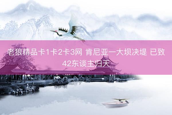 老狼精品卡1卡2卡3网 肯尼亚一大坝决堤 已致42东谈主归天