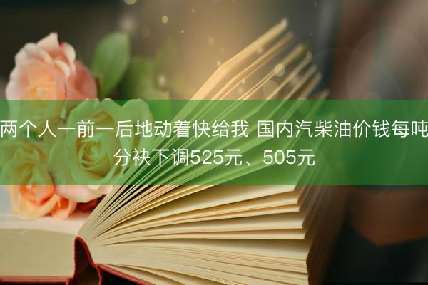 两个人一前一后地动着快给我 国内汽柴油价钱每吨分袂下调525元、505元