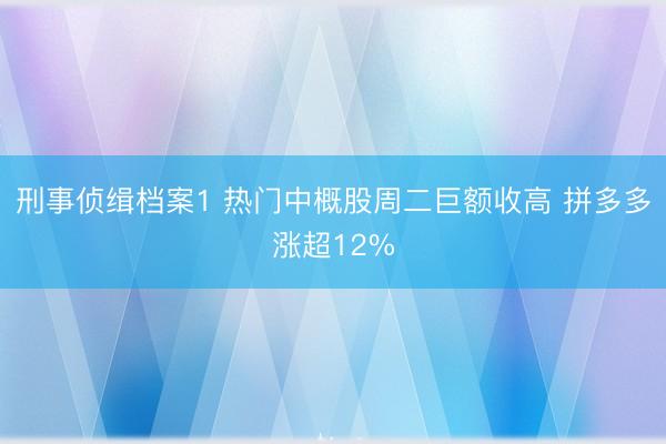 刑事侦缉档案1 热门中概股周二巨额收高 拼多多涨超12%