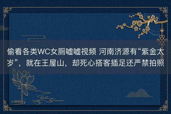 偷看各类WC女厕嘘嘘视频 河南济源有“紫金太岁”，就在王屋山，却死心搭客插足还严禁拍照