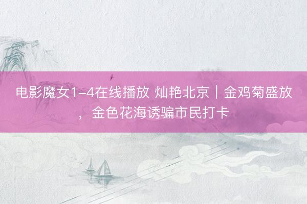 电影魔女1-4在线播放 灿艳北京｜金鸡菊盛放，金色花海诱骗市民打卡