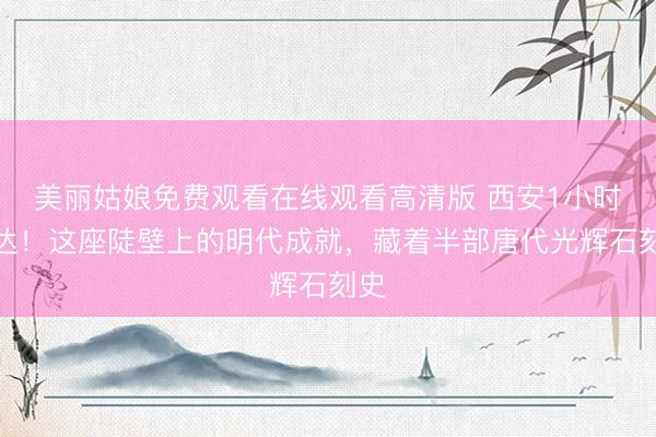 美丽姑娘免费观看在线观看高清版 西安1小时直达！这座陡壁上的明代成就，藏着半部唐代光辉石刻史