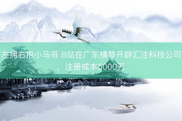 左拥右抱小马哥 B站在广东横琴开辟汇注科技公司，注册成本5000万