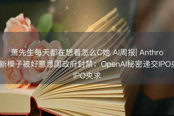 萧先生每天都在想着怎么C她 AI周报| Anthropic新模子被好意思国政府封禁;OpenAI秘密递交IPO央求