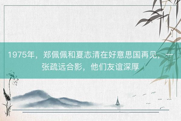 1975年，郑佩佩和夏志清在好意思国再见，一张疏远合影，他们友谊深厚