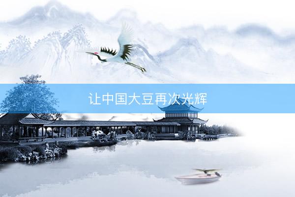 让中国大豆再次光辉