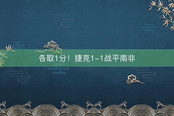 各取1分！捷克1-1战平南非