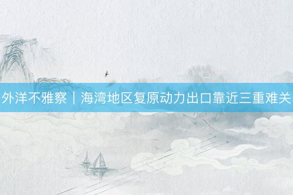 外洋不雅察|海湾地区复原动力出口靠近三重难关