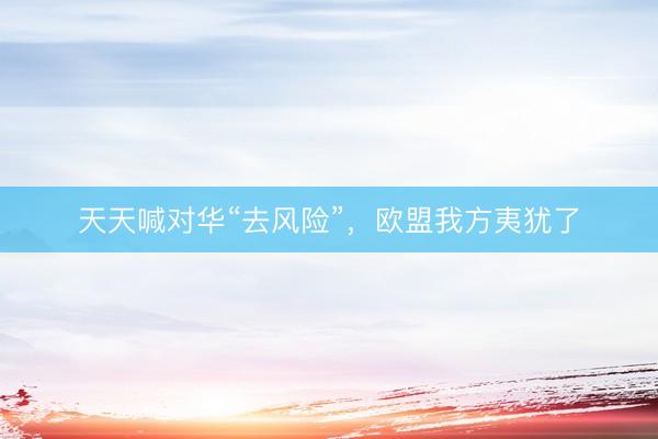 天天喊对华“去风险”，欧盟我方夷犹了