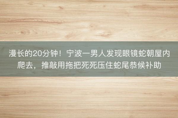漫长的20分钟！宁波一男人发现眼镜蛇朝屋内爬去，推敲用拖把死死压住蛇尾恭候补助